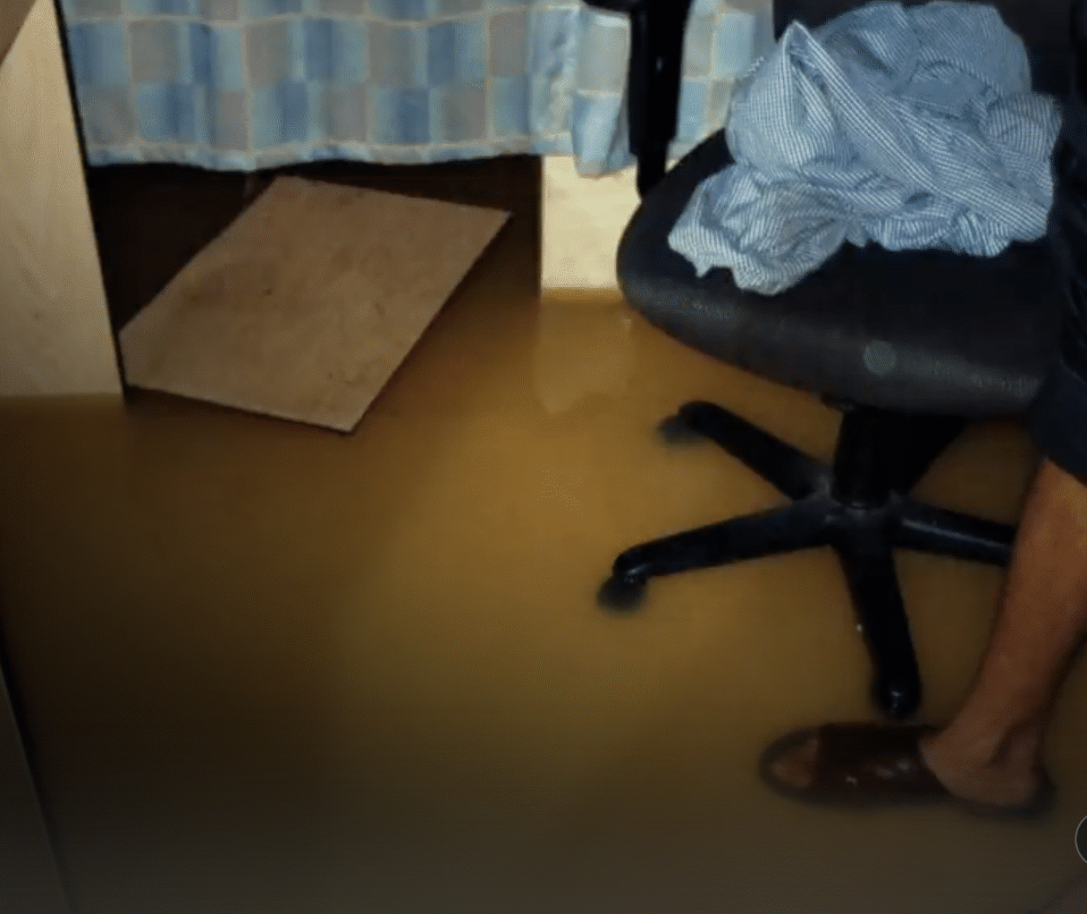 Netflix Poop Cruise documentary